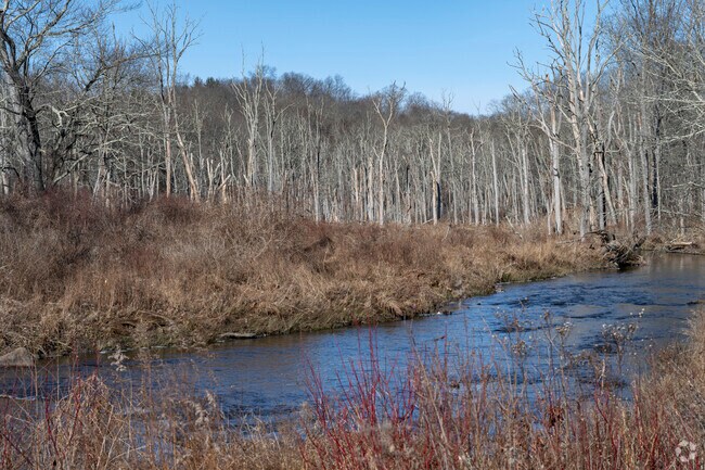 Ward Pound Ridge Reservation has open space, hiking trails, and a river walk in Pound Ridge.