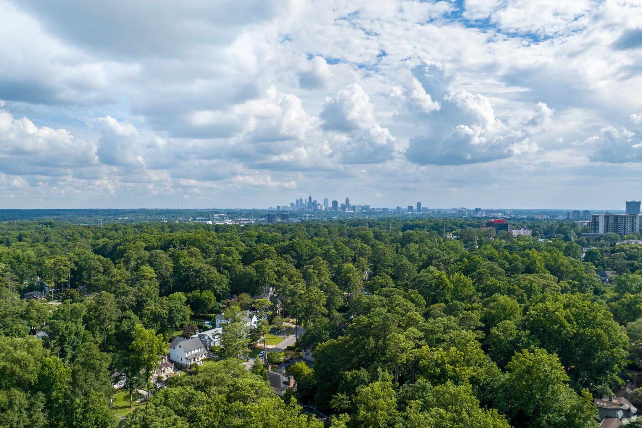 The homes of Peachtree Park are nestled under a serene canopy of trees.