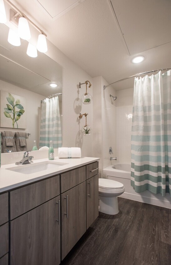 Avalon Southlands 6855 S Langdale St, Aurora, CO