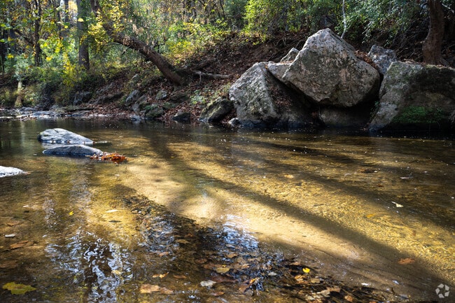 Take a hike in Columbia by the Middle Patuxent Environmental Area.