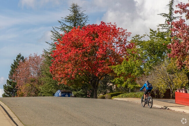 Auburn is a community full of bicycle enthusiasts.