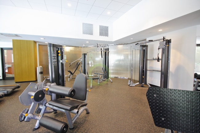 730 N Dearborn St, Chicago, IL 60654 - photo 6