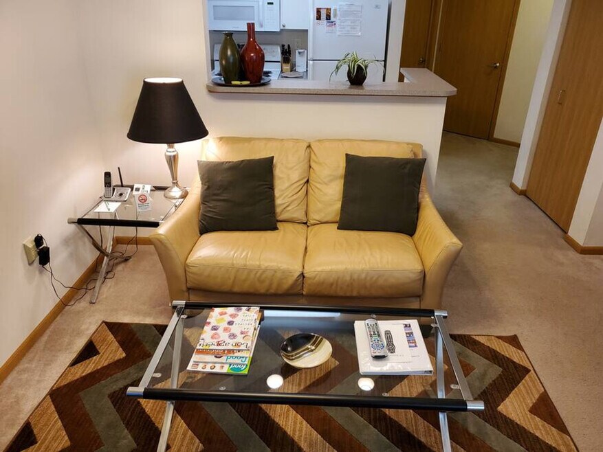 501 Plaza Dr unit ID1059801P, Madison, WI 53719 - photo 1