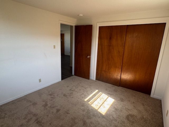 646 W Main St, Arcade, NY 14009 - photo 4