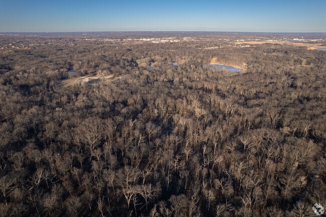 Enjoy the sights and sounds of all the trees at the Deer Grove Forest Preserves.