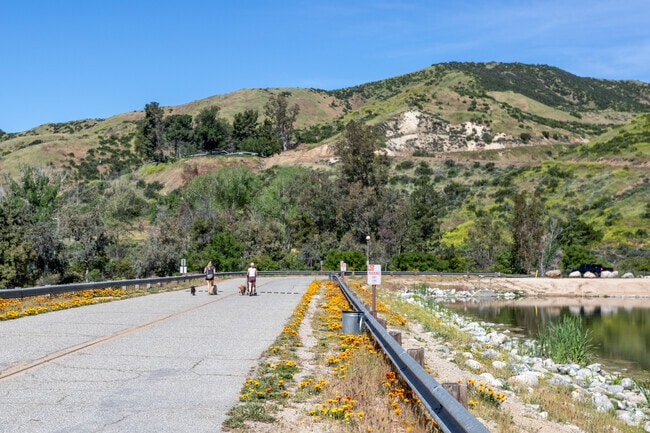 Yucaipa Regional Park is a great place to walk your dog.