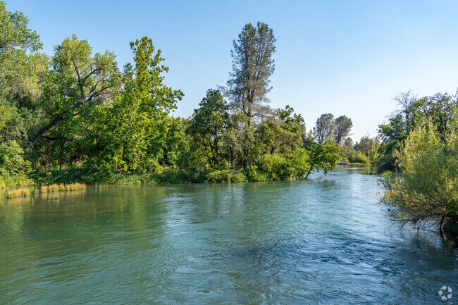 Escape the summer heat in Bechelli and go for a swim in the Sacramento River.