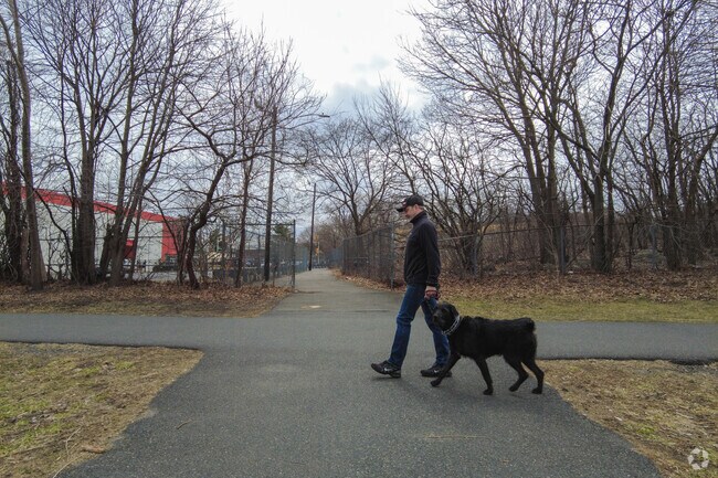 Dog walkers enjoy smooth pathways throughout the highly walkable Roosevelt Park.