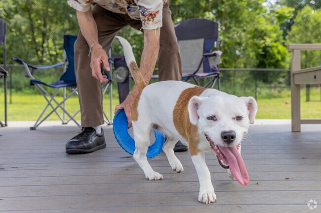 The Park at Salem Township has a large dog park often filled with adorable pups.