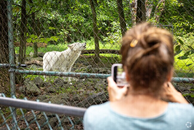 Lakota Wolf Preserve near Stillwater cares for wolves and educates visitors.