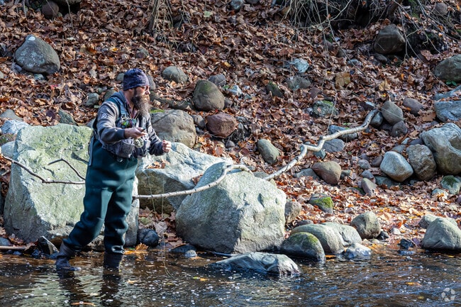 Fly-fishing enthusiasts enjoy casting in the stream at Rockwell Park in Bristol’s West End.