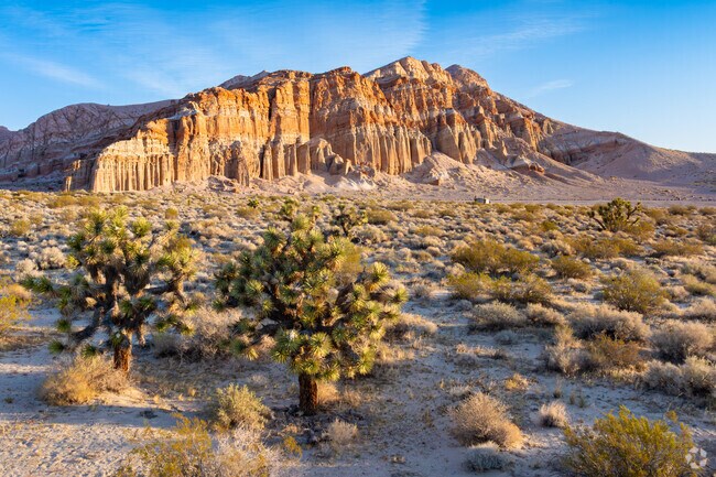 A few Joshua trees thrive at Red Rock Canyon State Park near China Lake Acres.