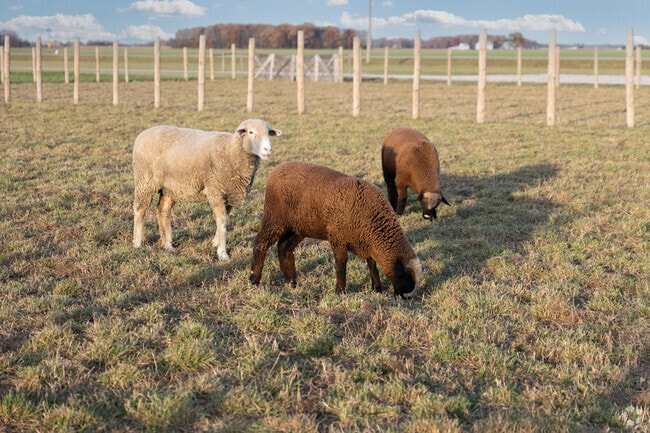 Carter Historic Farm in Bowling Green is a working farm that is true to a farm from the 1930's.