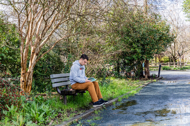 It's common to see people reading in Newhall Park near Crestwood.