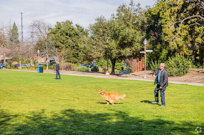 Joyful moments as a man plays with his dog at Burgess Park.