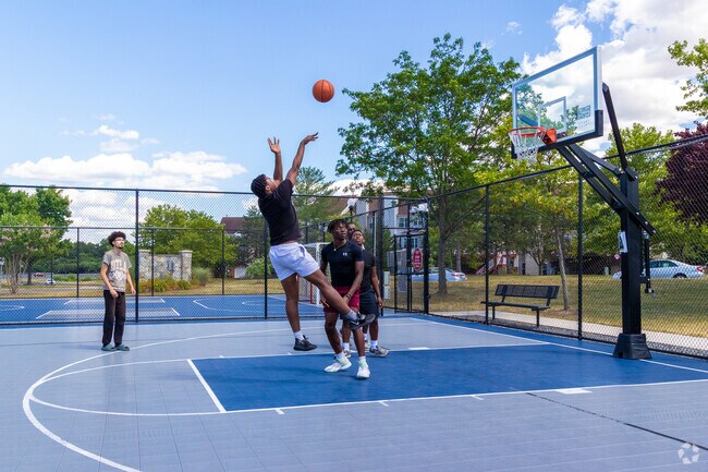 Play some B-Ball with your buddies at the Ashburn Village Lakes Courts in Ashburn Village.