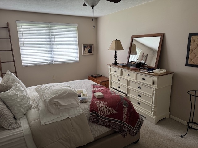 2902 Darlington Rd unit 701, Beaver Falls, PA 15010 - photo 5