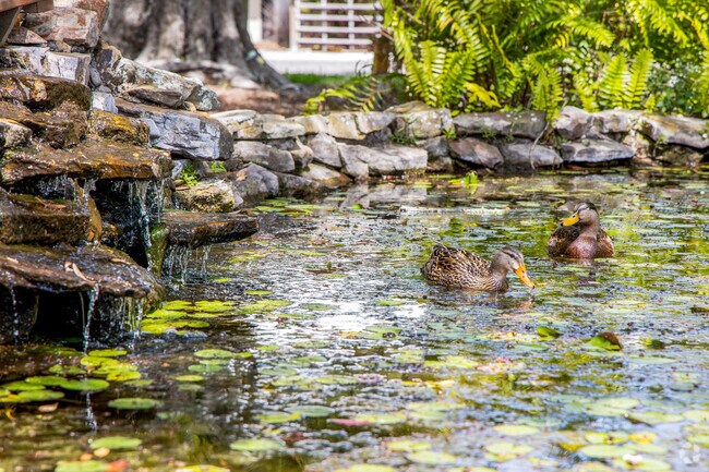 Wildlife can be seen all around Pasadena on the Gulf neighborhood.