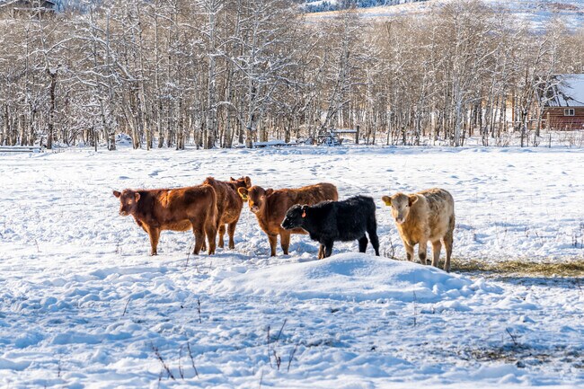 Luther is a ranching community in Montana.
