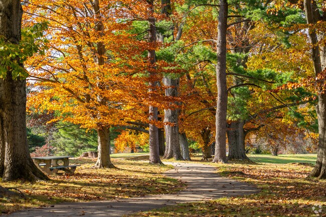 Tree-lined paths create a peaceful setting for walks at Charlestown Township Park.