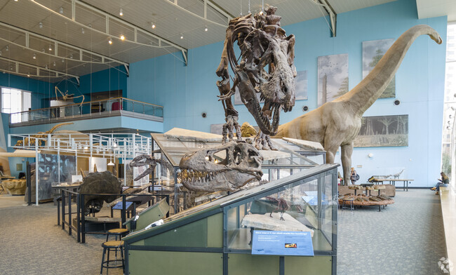 Visit the museums in Downtown Baltimore when you live in Parklane.