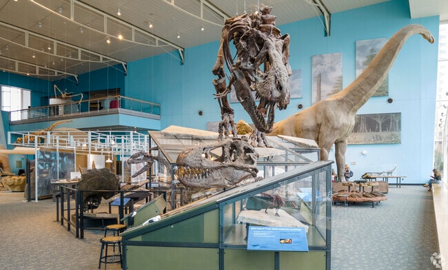 Visit the museums in Downtown Baltimore when you live in Parklane.