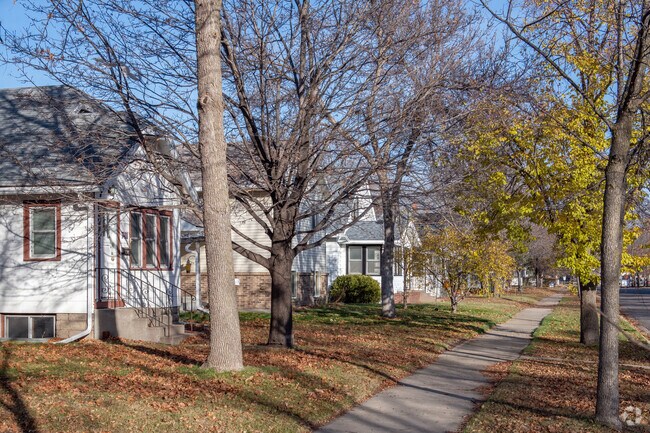 An arboreal paradise is one way to descibe the trees in the Lake George neighborhood.