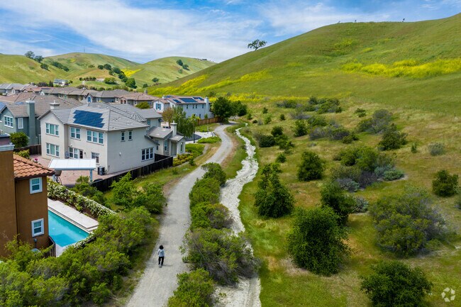 The Tassajara Ridge Trails Are a Popular Destination for Hikers and Outdoor Enthusiasts Who Enjoy Exploring the Natural Beauty of Tassajara.