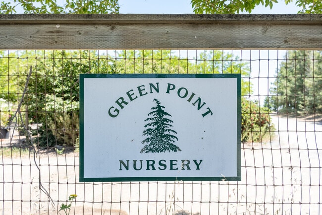 The Green Point Nursery is situated perfectly to represent the entire community.