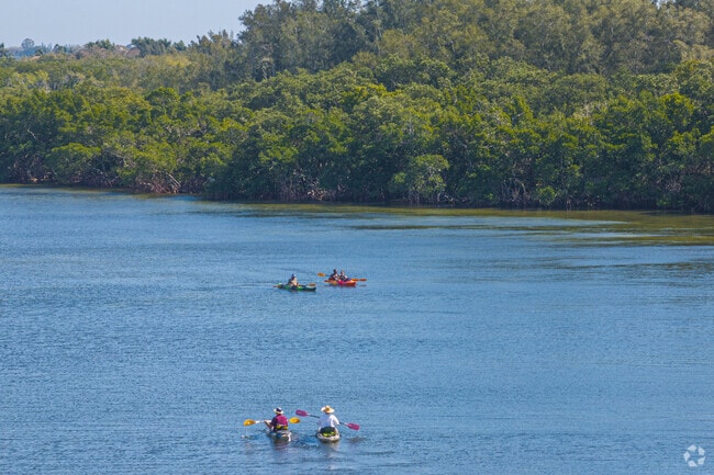 Kayakers paddle through the Clambar Bayou