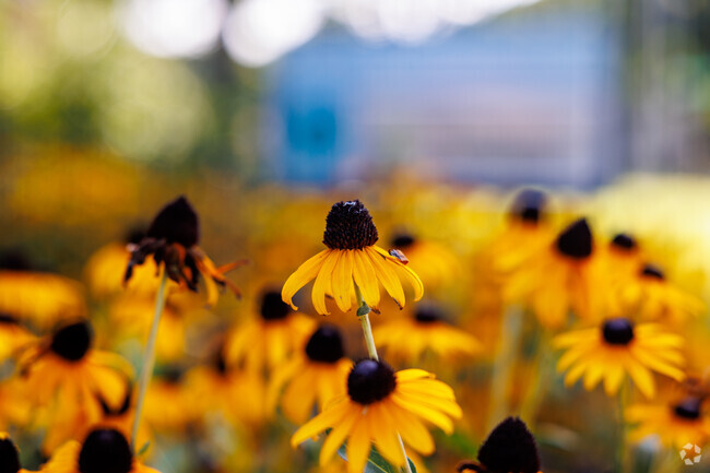 Flowers add to the beauty of the Gibbs Magnet School campus.