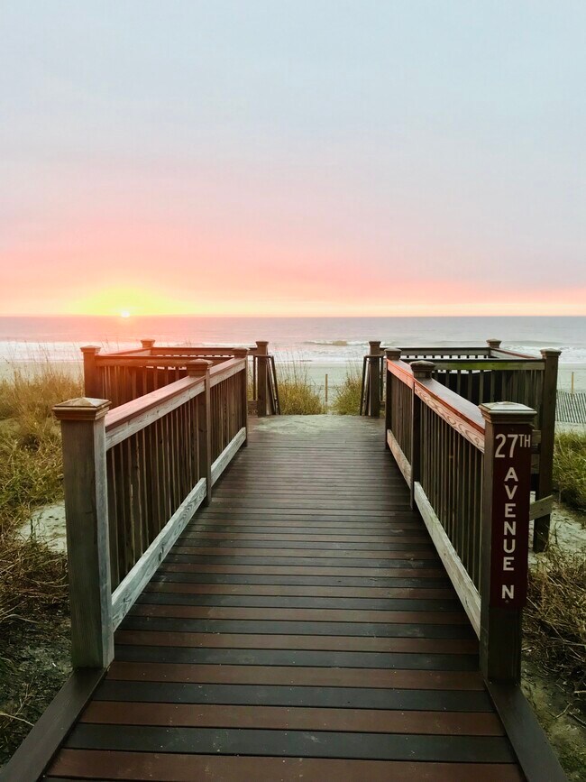 Blue Palmetto, Myrtle Beach, SC 29577 - photo 3