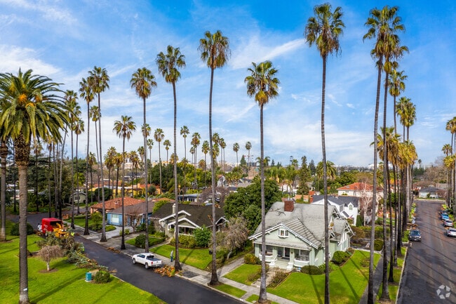 The streets of North Willow Glen are beautiful with palm tree lined streets.