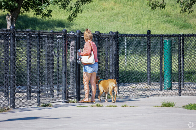 Take your dog to the Harrison Dog Park in Park Meadows.