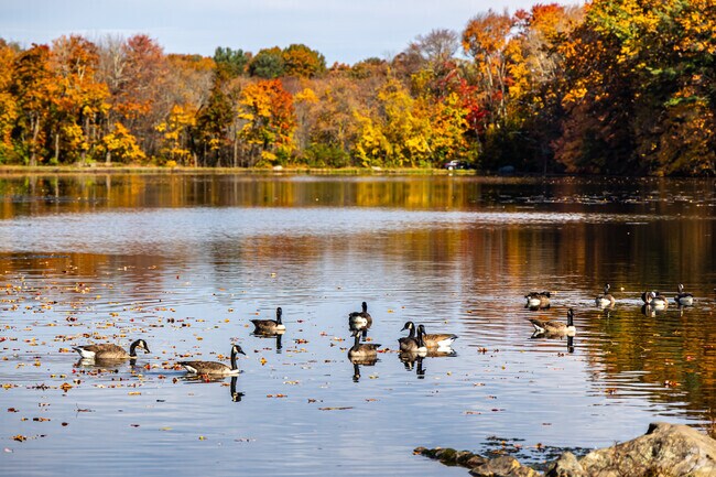 There are many opportunities for outdoor activities in Northborough.