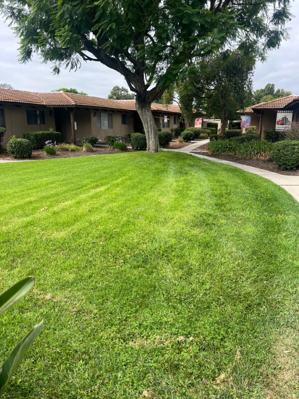 145 N Cambridge Ave unit 133 N Cambridge Ave, Claremont, CA 91711 - photo 2