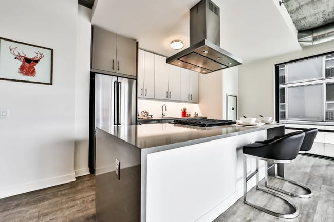 397 E Ohio St, Chicago, IL 60611 - photo 6