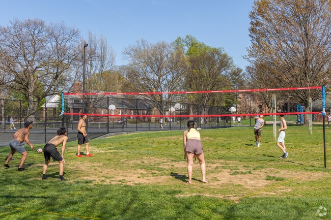 Nice days in Chestnut Hills see an array of activities in Buchanan Park, like volleyball games.