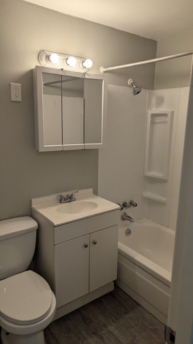 Unit 3-4 bathroom and shower