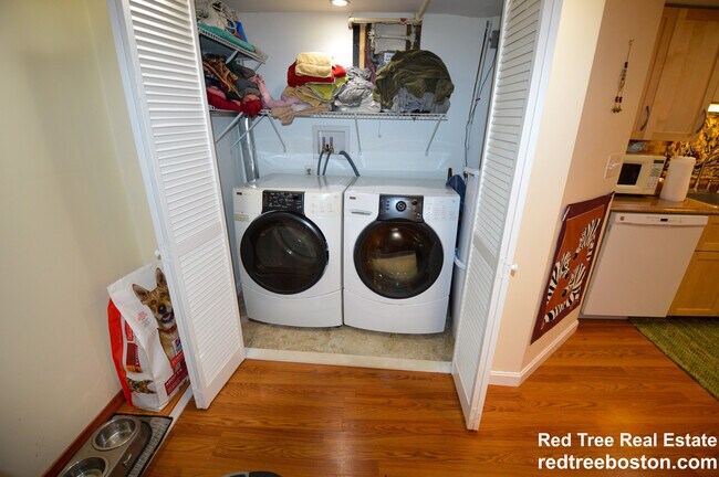 22 Cresthill Rd, Brighton, MA 02135 - photo 6