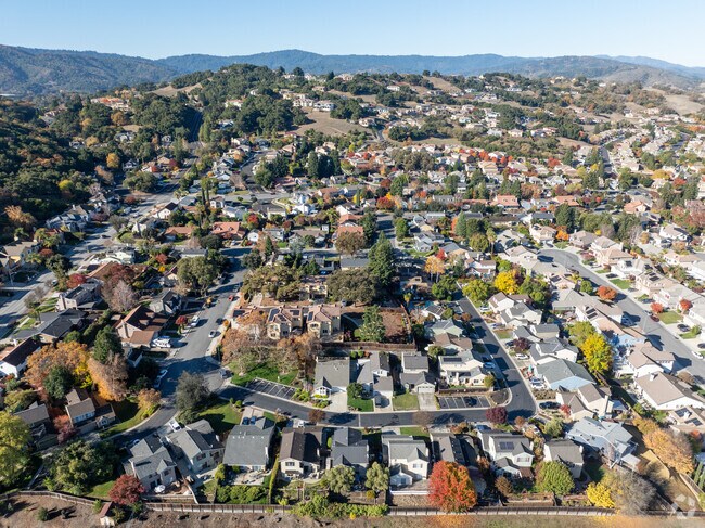 Explore tree-lined streets and spacious homes in Las Animas.