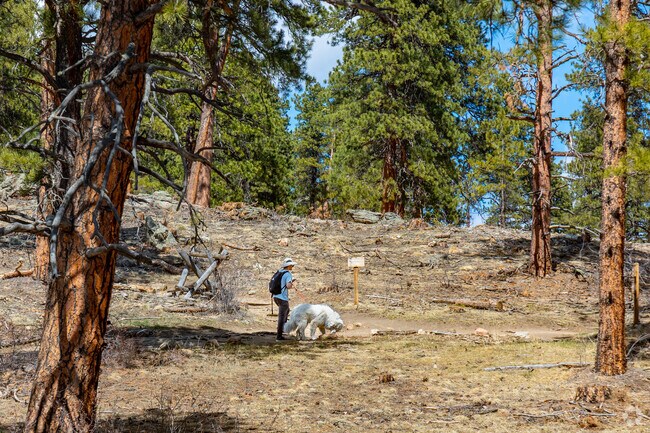 Take the dog for a long hike at the scenic Alderfer/Three Sisters Park in Evergreen.