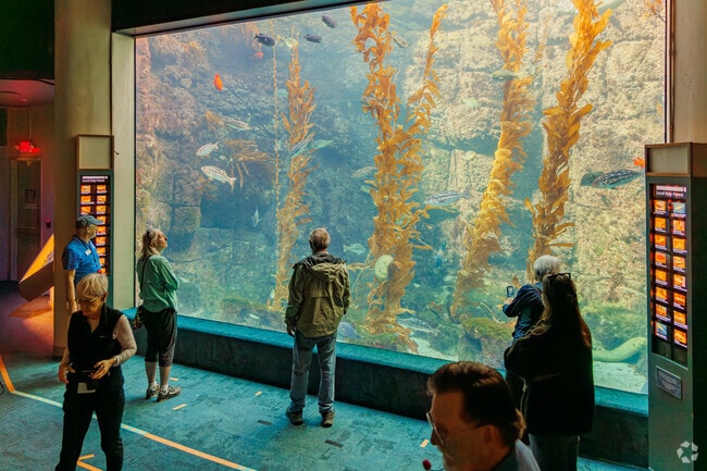 The Birch Aquarium gets visitors up close and personal with sea life.