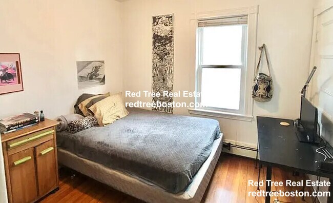 30 Darling St unit 2, Roxbury Crossing, MA 02120 - photo 6