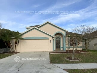 10547 Peppergrass Ct, Trinity, FL 34655