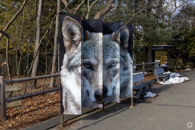 Beardsley Zoo in North Bridgeport is Connecticut's only Zoo.