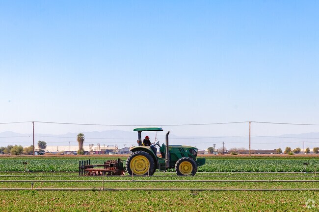 Imperial’s rich agricultural roots continue to shape its community, thriving alongside new growth.