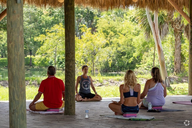 Yoga Under The Tiki is offered at the Wicked Dolphin Distillery in the Hancock neighborhood.