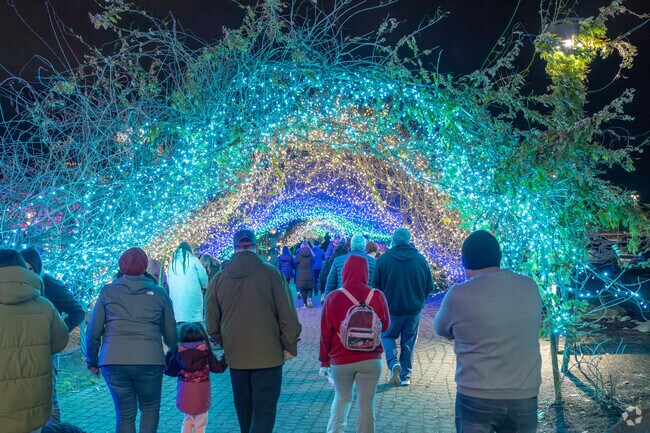 For holiday family fun, head to Tulalip Lights and Ice near Kellogg Marsh.
