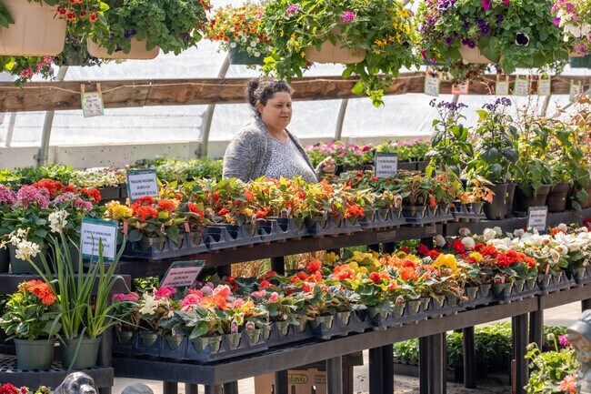 Browse the many garden options that Wilkes Market has to offer.